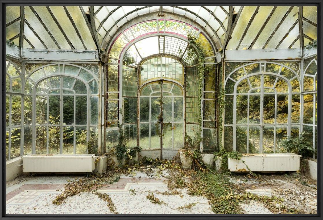 JARDIN D HIVER - REGINALD VAN DE VELDE - Photographie