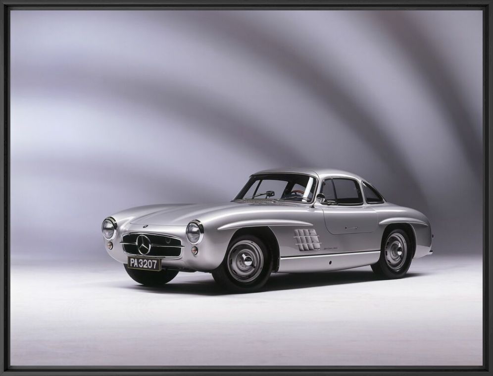 The aluminium gallwing - RENE STAUD - Photographie