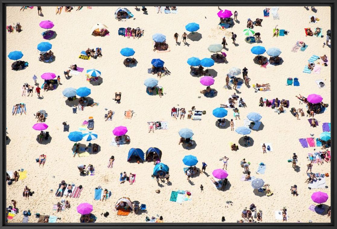 SUMMER COLOURS - RICHARD HIRST - Photographie