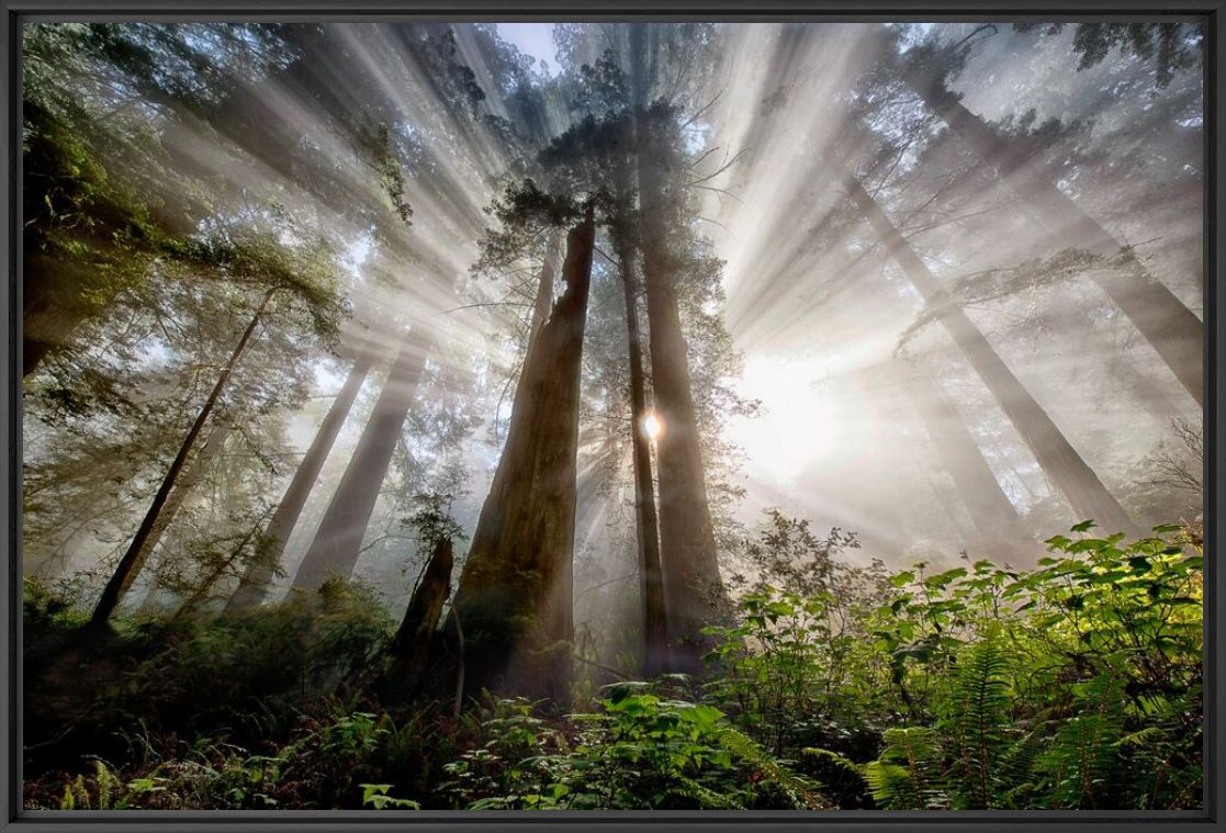 HOPE - SAPNA REDDY - Fotografie
