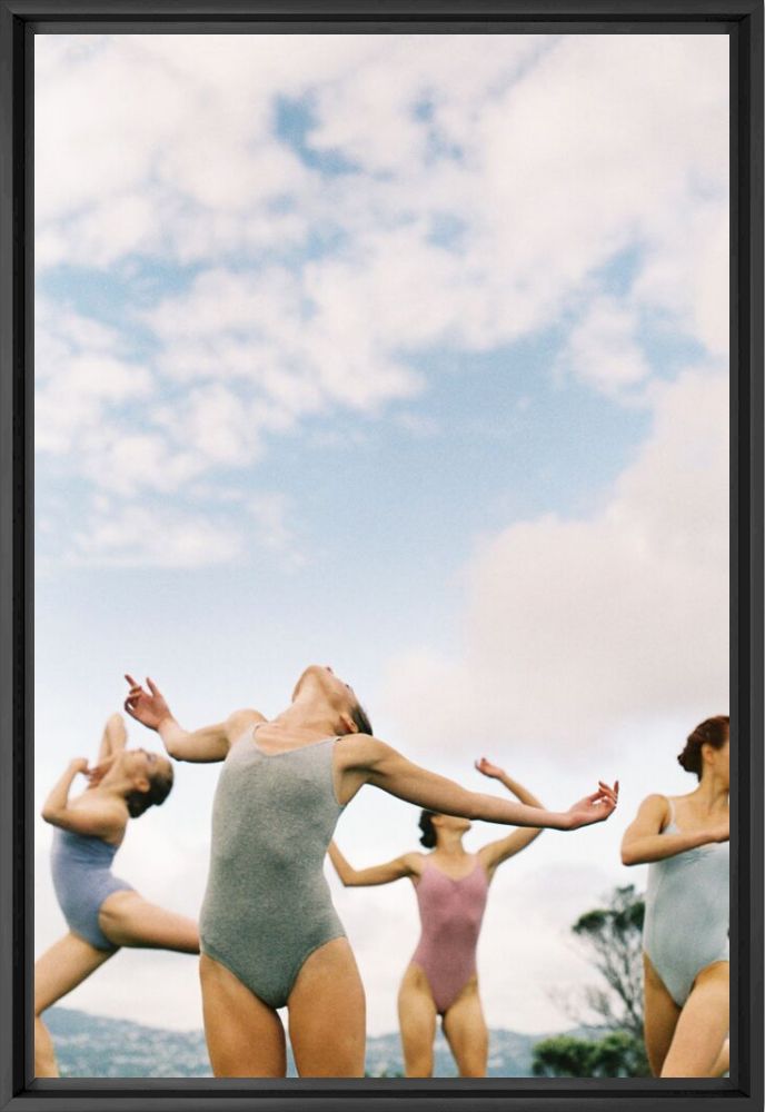 Unfurl - Sarah Burton Fielding - Photograph