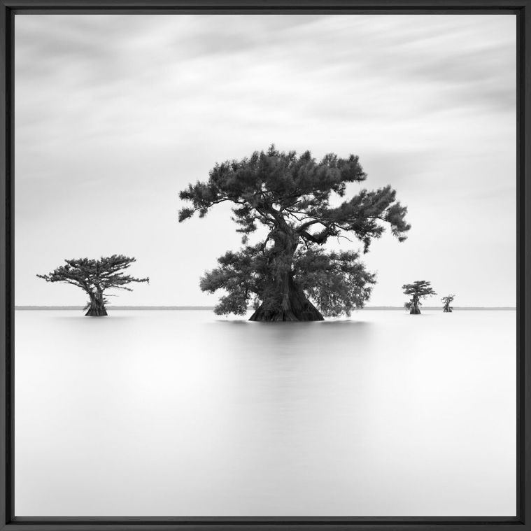 GUARDIANS OF ORACLE IV - SEBASTIEN GREBILLE - Fotografia