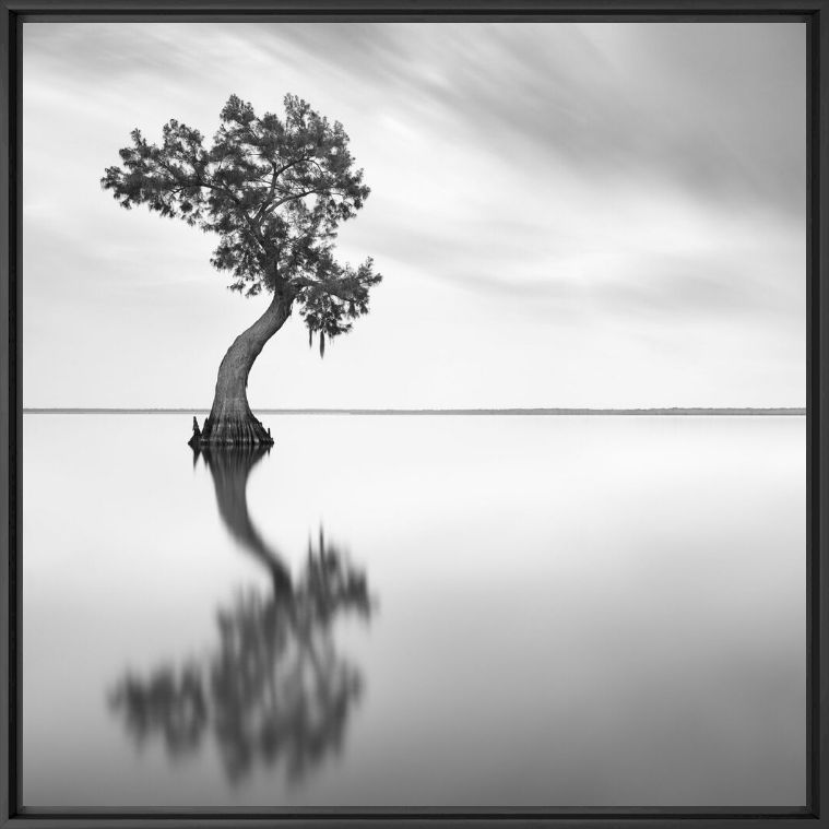 GUARDIANS OF ORACLE V - SEBASTIEN GREBILLE - Fotografia