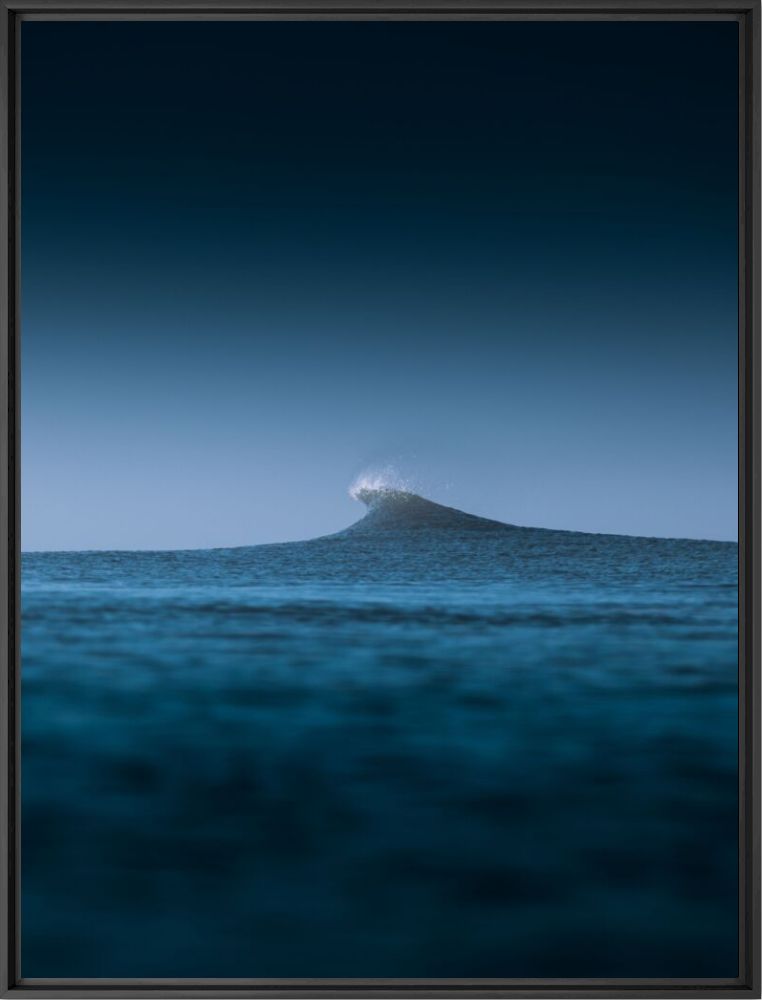 Blue horse - SergDady  - Kunstfoto