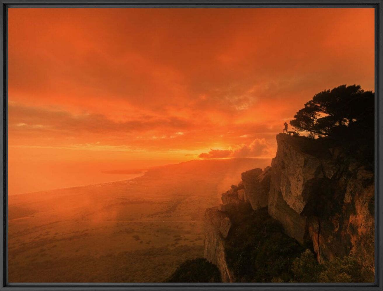 Orange reasons - SergDady  - Kunstfoto
