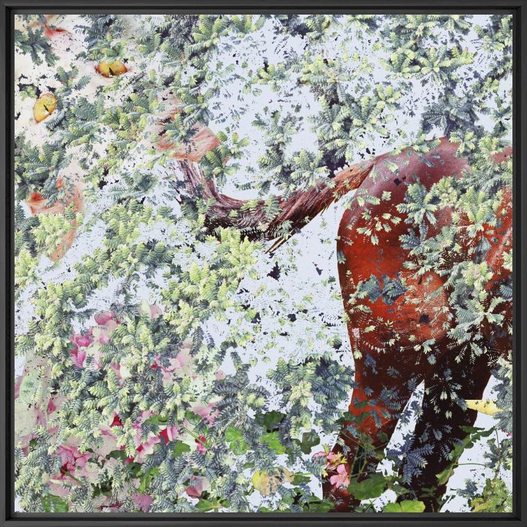 Comes Summer Wind - SHAN KUN WU - Photographie