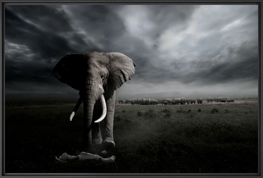 REVERENCE - SHIRLI JADE CARSWELL - Photographie