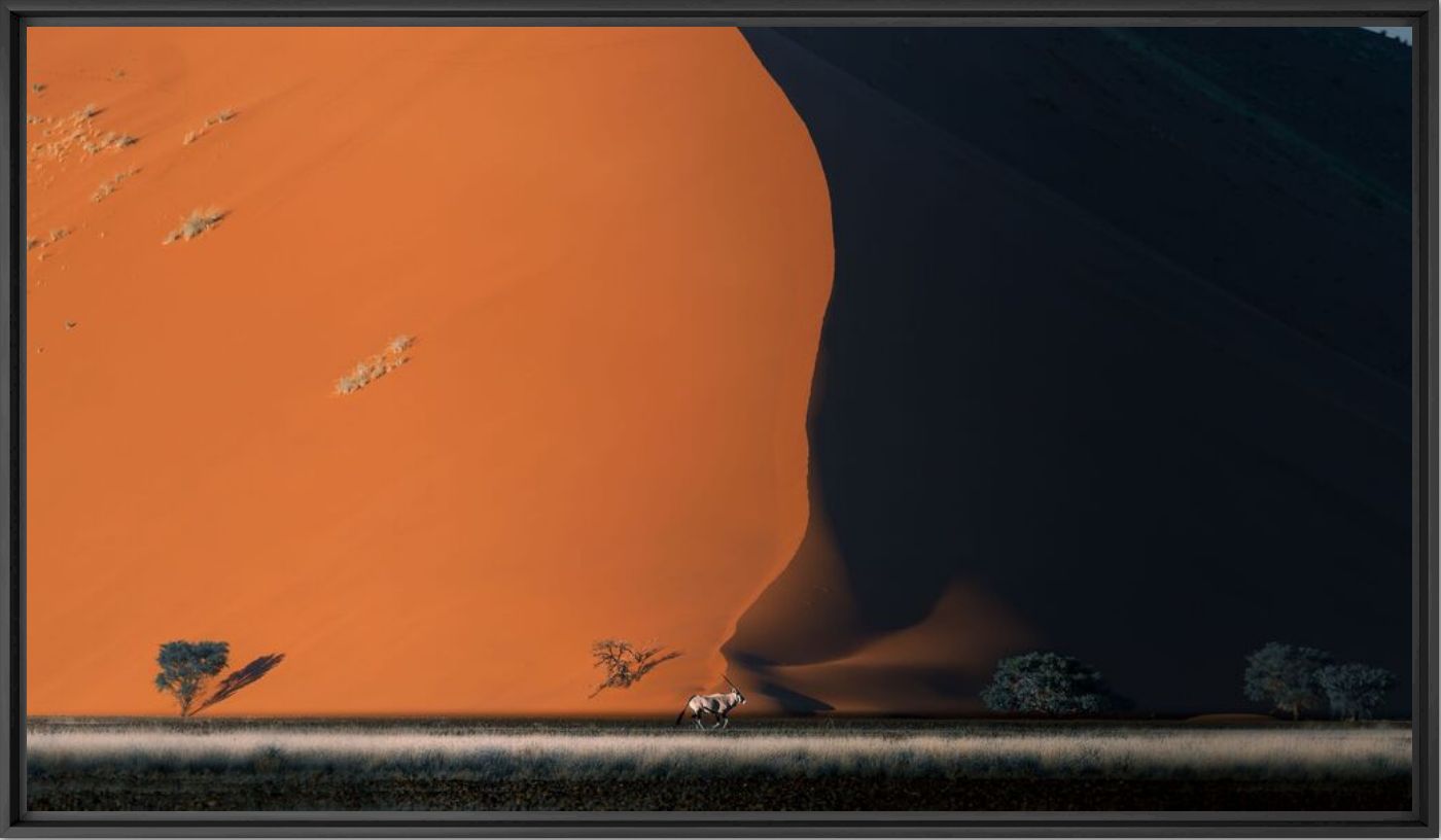 Sossusvlei - Solly Levi - Photographie