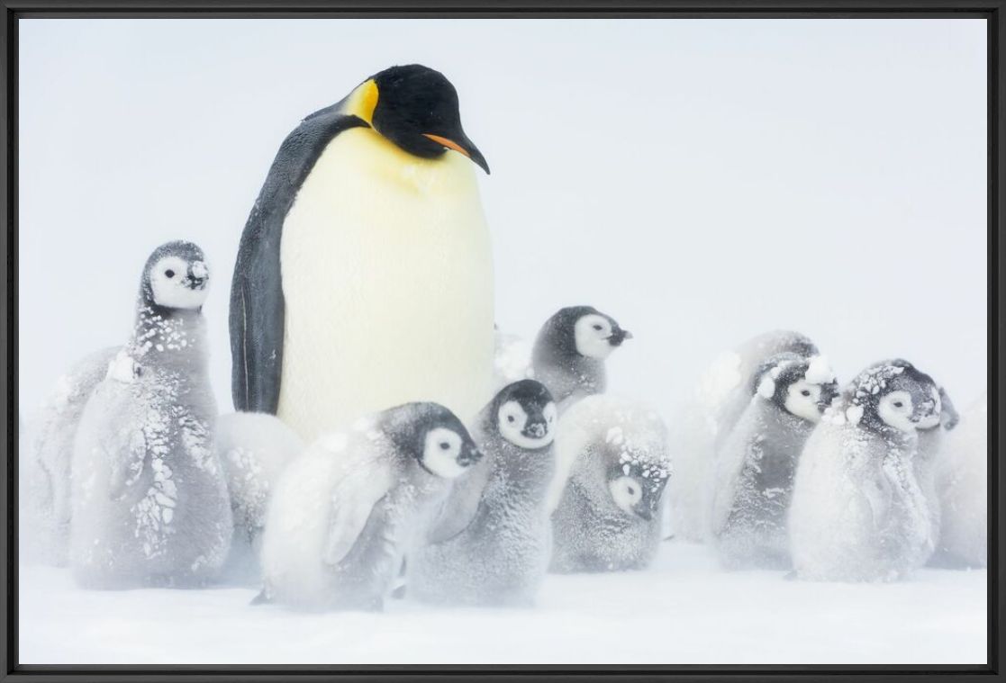 The Kindergarten Teacher - STEFAN CHRISTMANN - Photographie