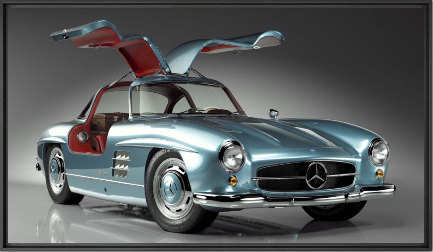 German beauties The Gullwing - STEPHANE GIL - Photograph