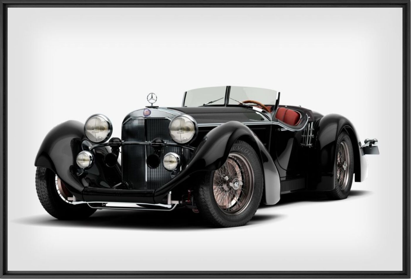 The black bat - STEPHANE GIL - Photographie