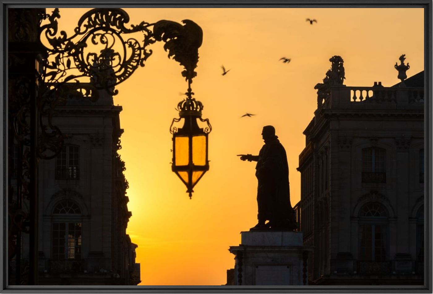 BACKLIGHT - St&eacute;phane NOLL - Photographie