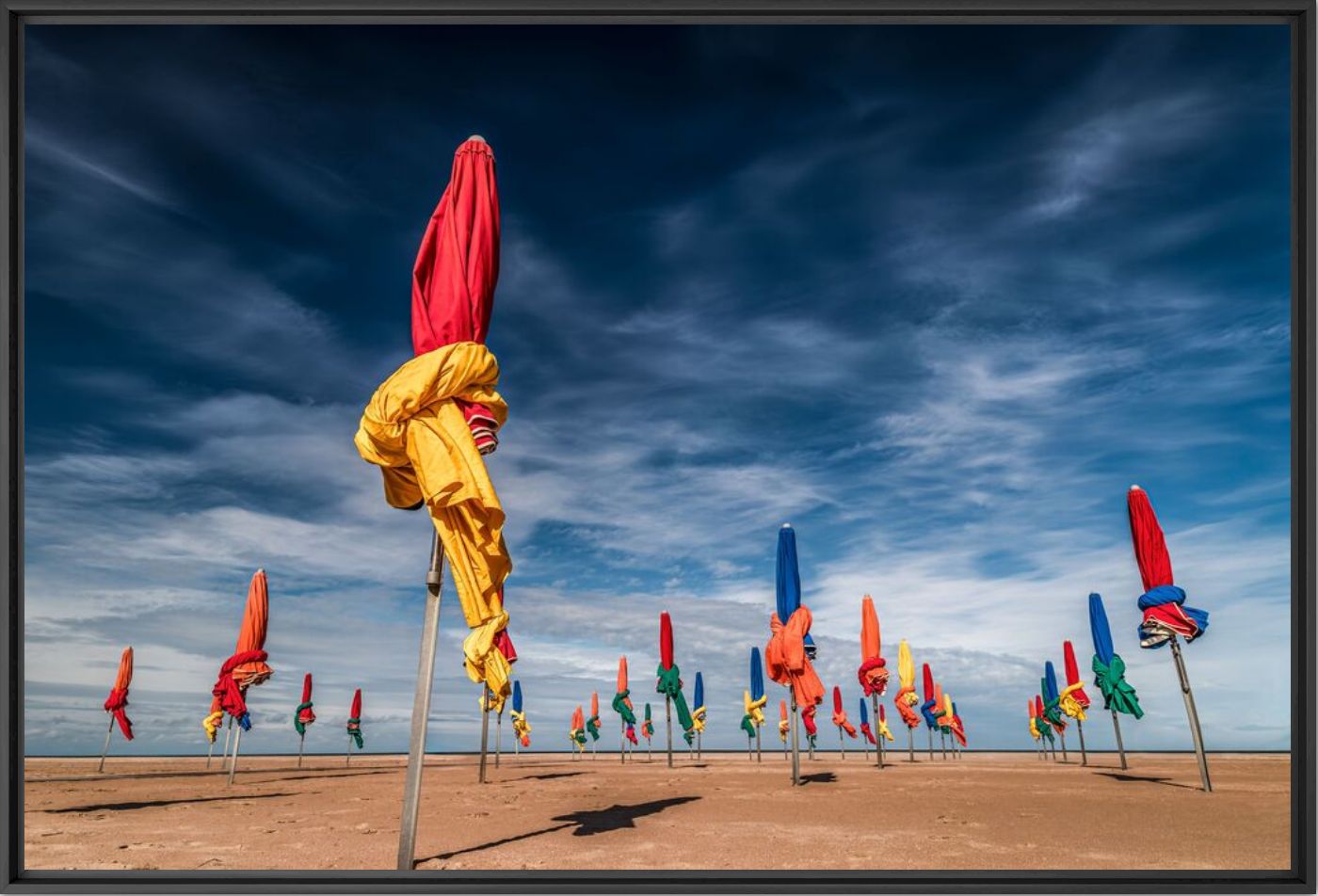 Parade des parasols de Deauville - Steve Perchey - Photographie