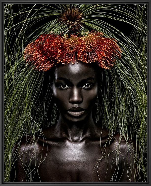 Queen of Africa - STEVEN MENENDEZ  - Fotografie