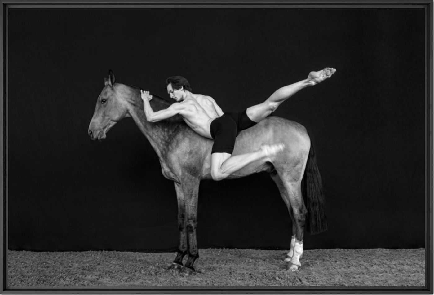 Animal inside 12 - Tatiana Mikhina - Fotografia