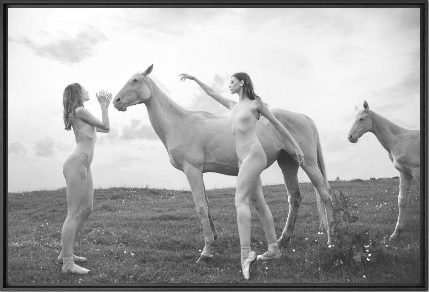 Animal inside 70 - Tatiana Mikhina - Fotografia