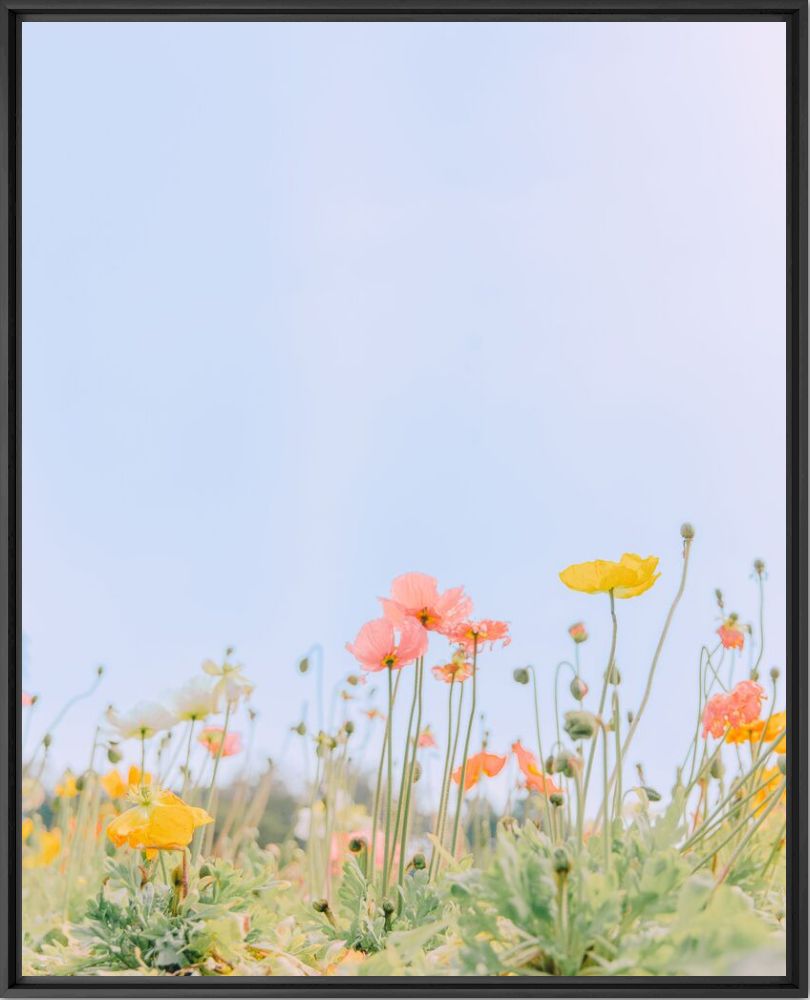 Dancing flora - Teresa Freitas - Fotografie