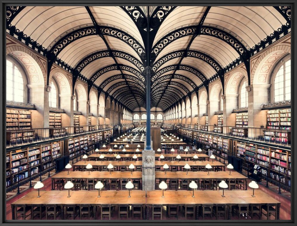 Biblioth&egrave;que Sainte Genevi&egrave;ve 2 - THIBAUD POIRIER - Photograph