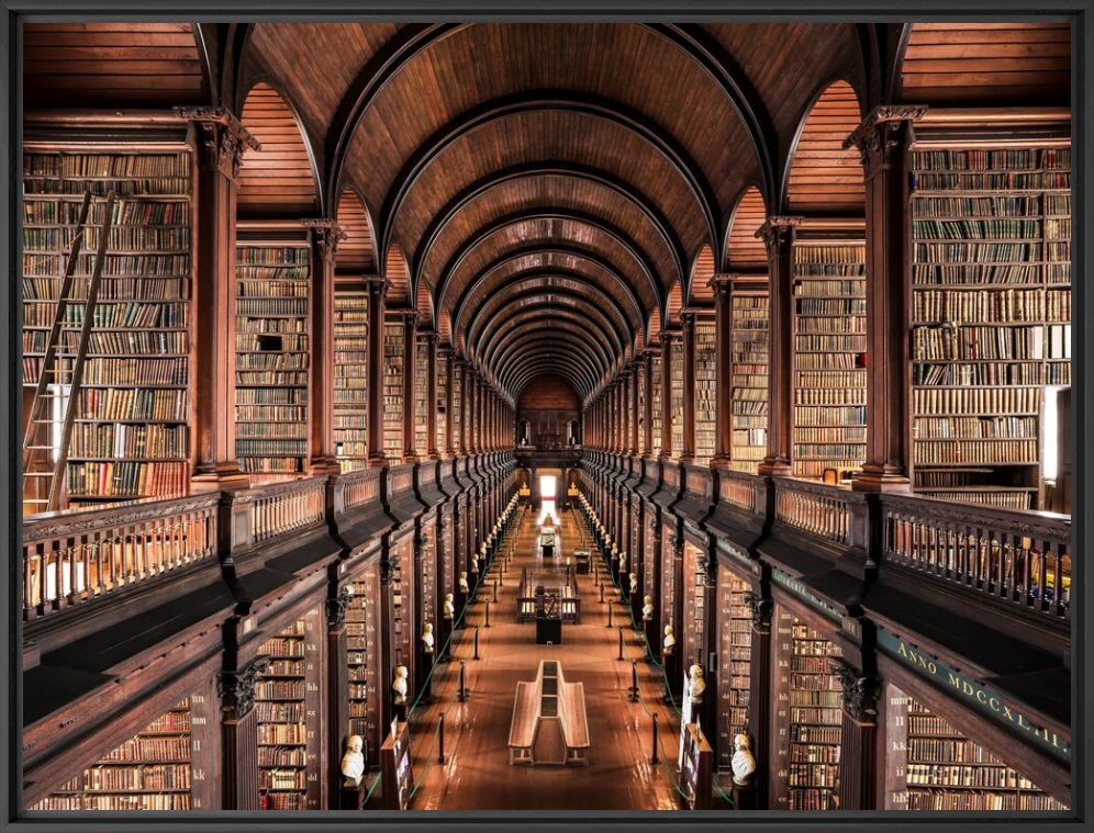 TRINITY COLLEGE LIBRARY - THIBAUD POIRIER - Photograph