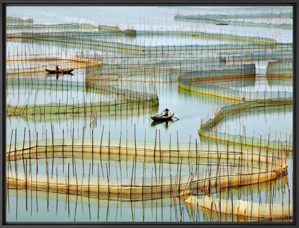 Labyrinth - THIERRY BORNIER - Fotografie