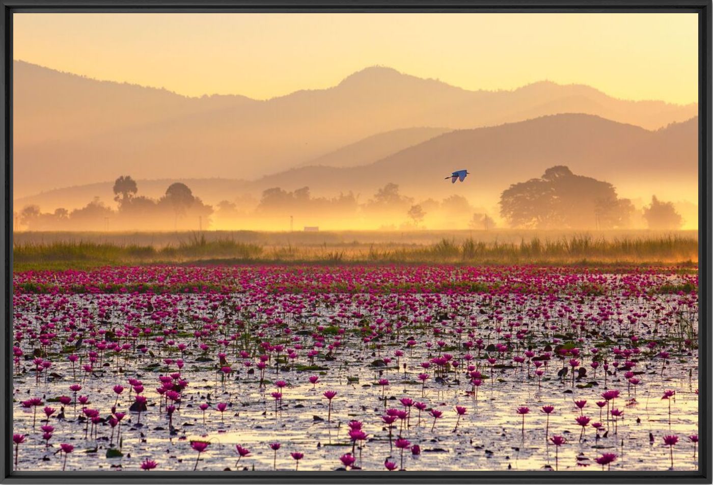 Early morning on Inle lake - Thong NGUYEN HUU - Photograph