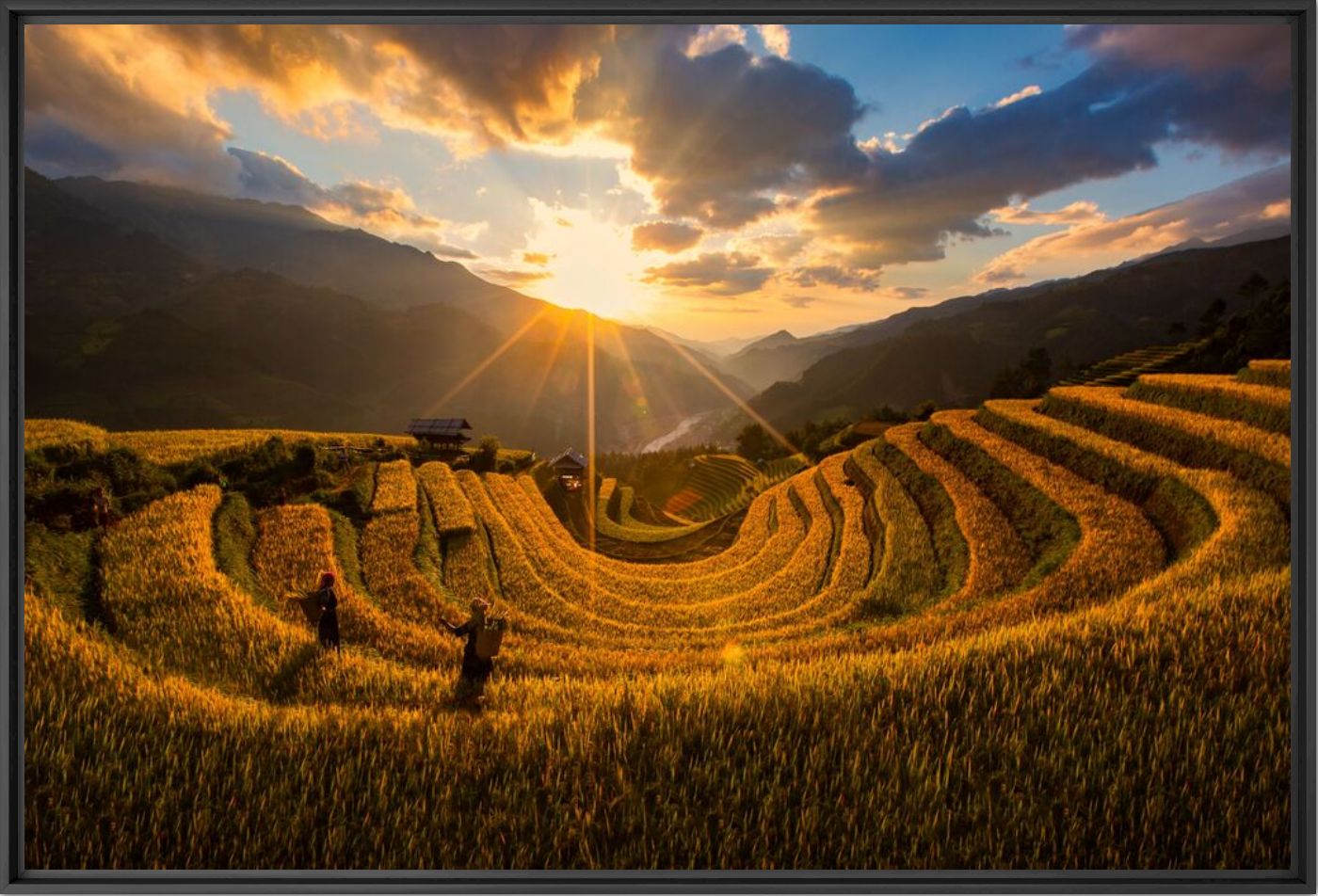 Golden autumn in Mu Cang Chai - Thong NGUYEN HUU - Fotograf&iacute;a
