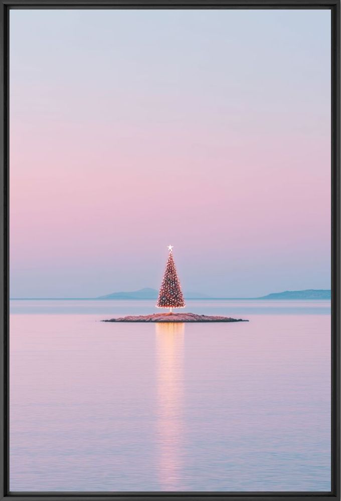 Island christmas tree - Tina  Marinaki - Photograph