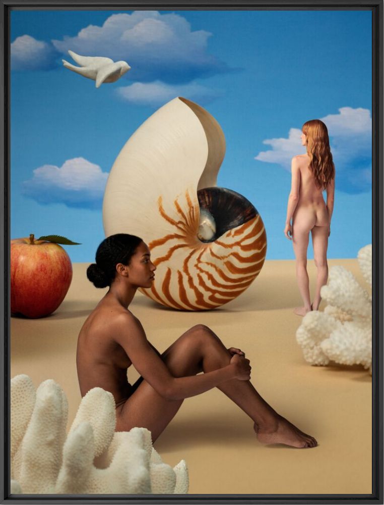 Le nautilus - Valentine  Reinhardt - Photographie
