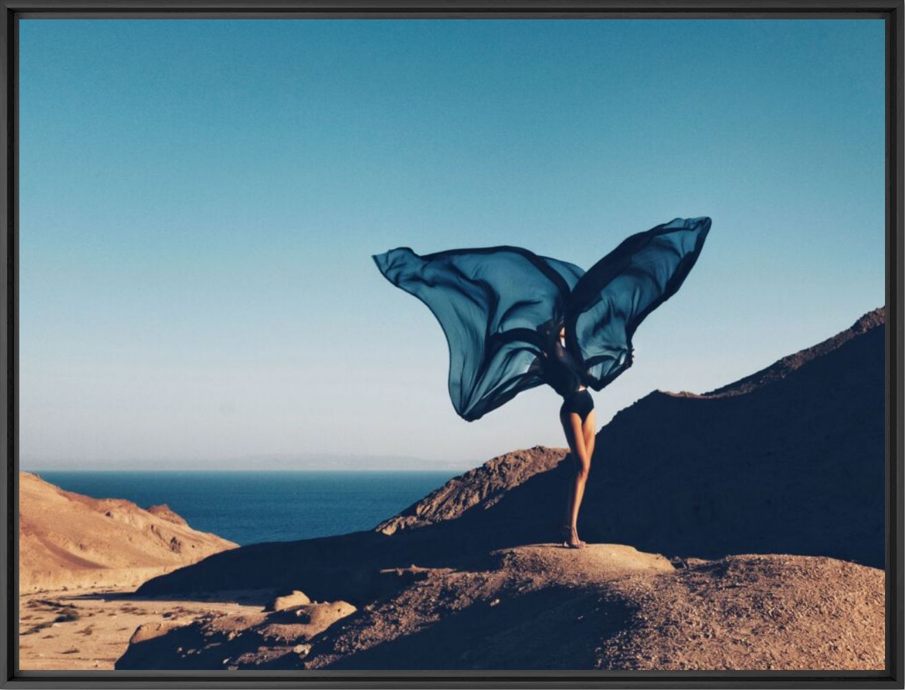 Blue papillon - Vassilis  Pitoulis - Fotografia
