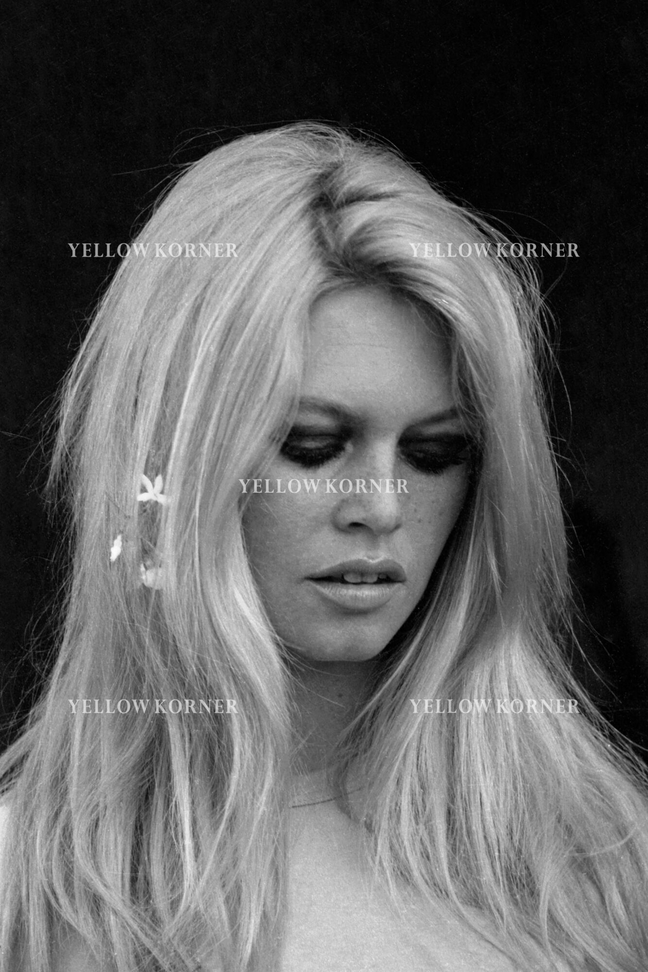 Photo Brigitte Bardot - Purchase of Photography from Brigitte