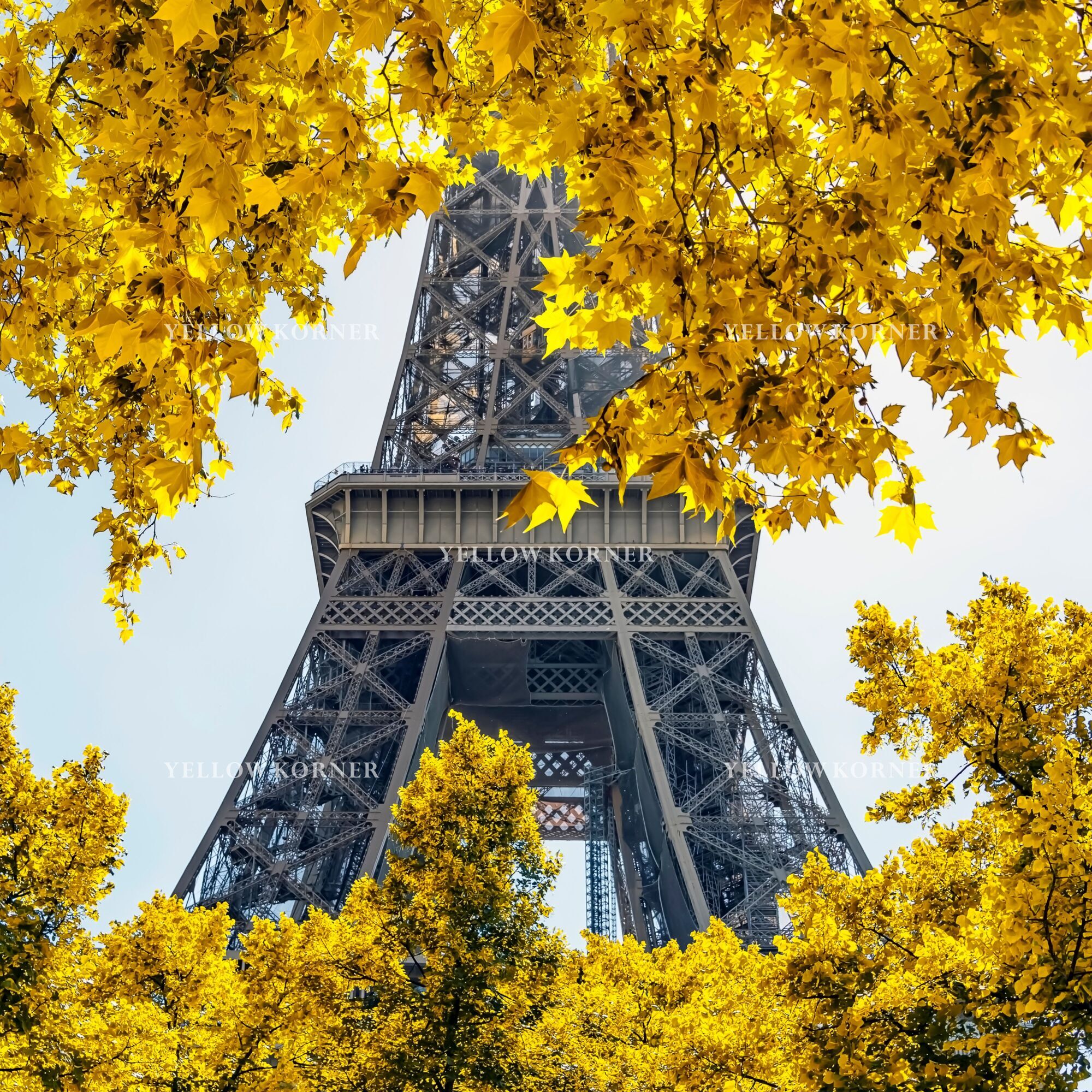 Photo Paris - Purchase of Paintings & Photography by Paris