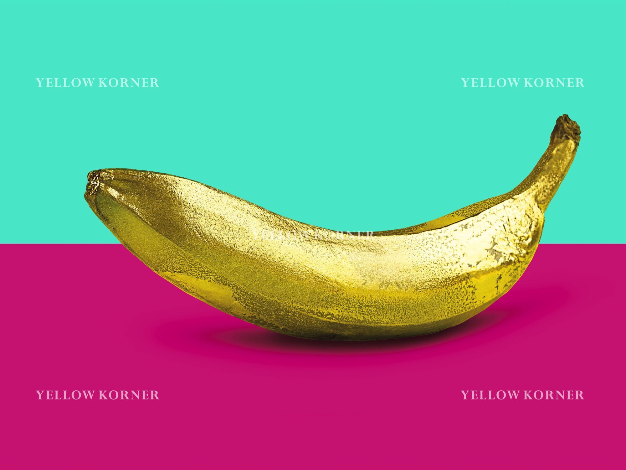 Warholian coke 2, Montage, Monica Silva · Art photographs