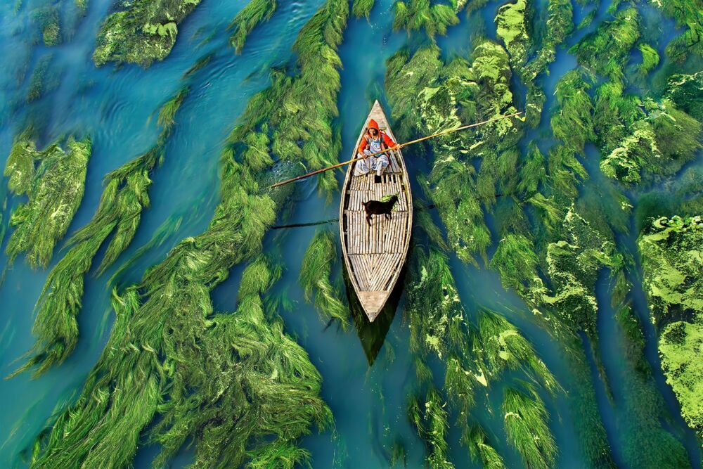 Serenity in Emerald waters