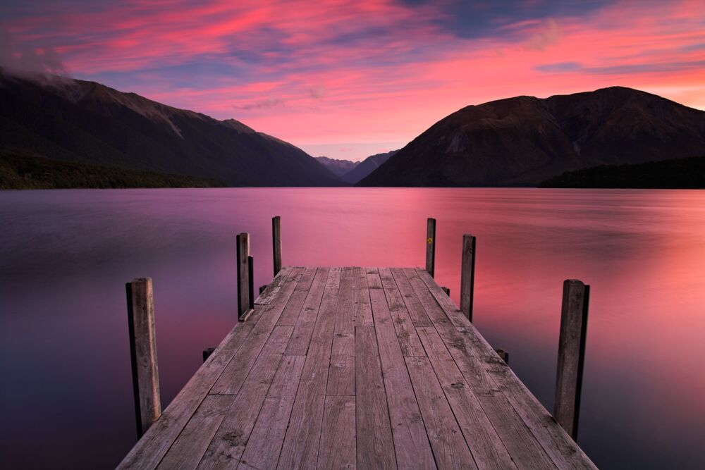 Aotearoa Pinks