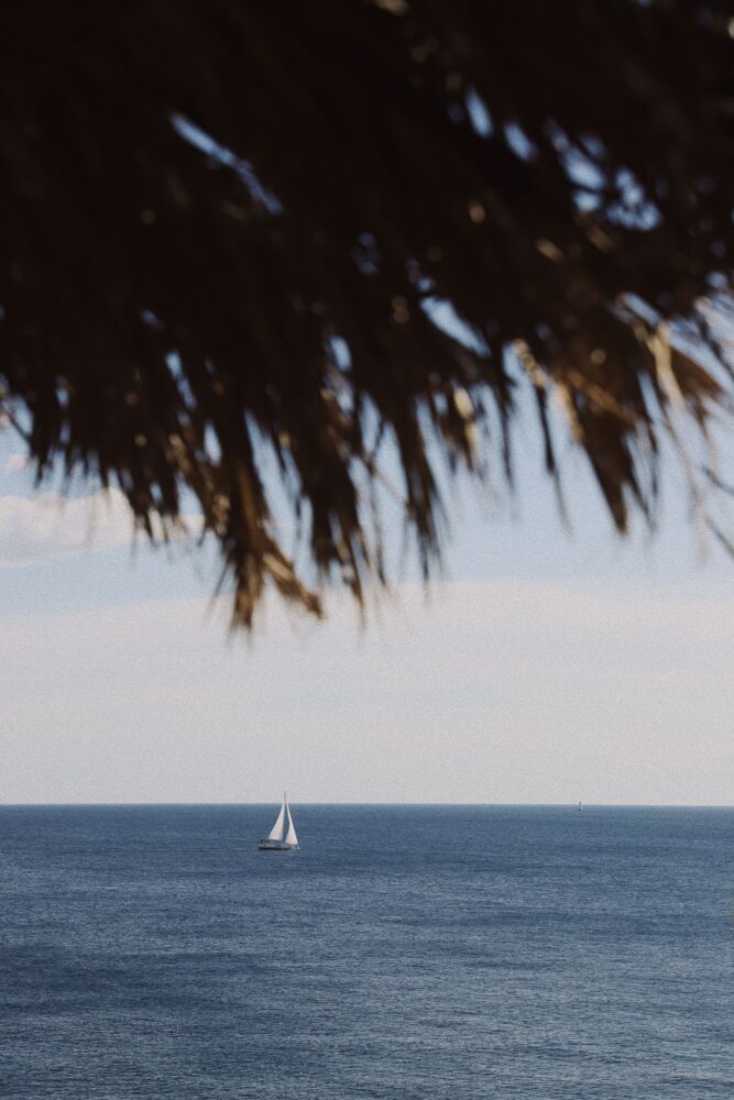 Sail away