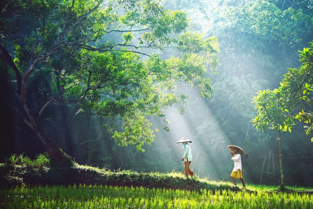 To Work
