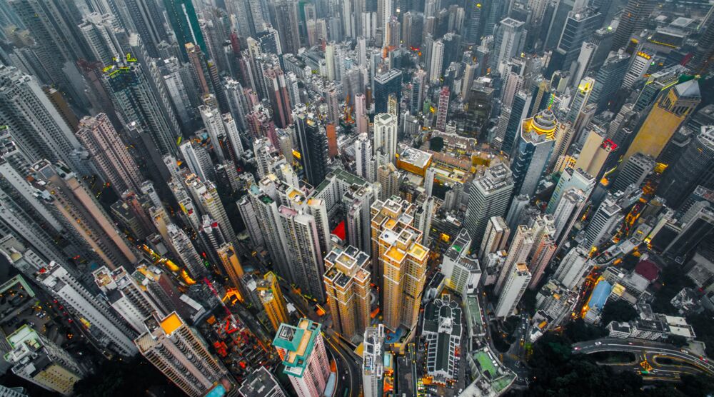 Urban jungle 01