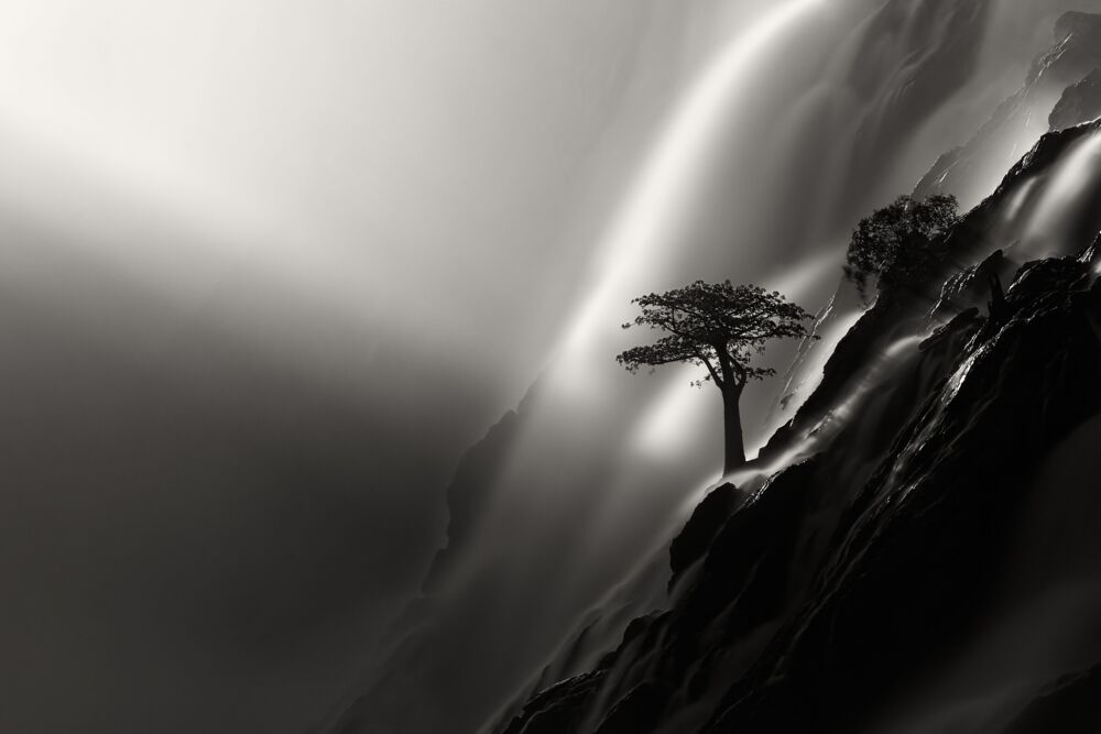 Lightfall