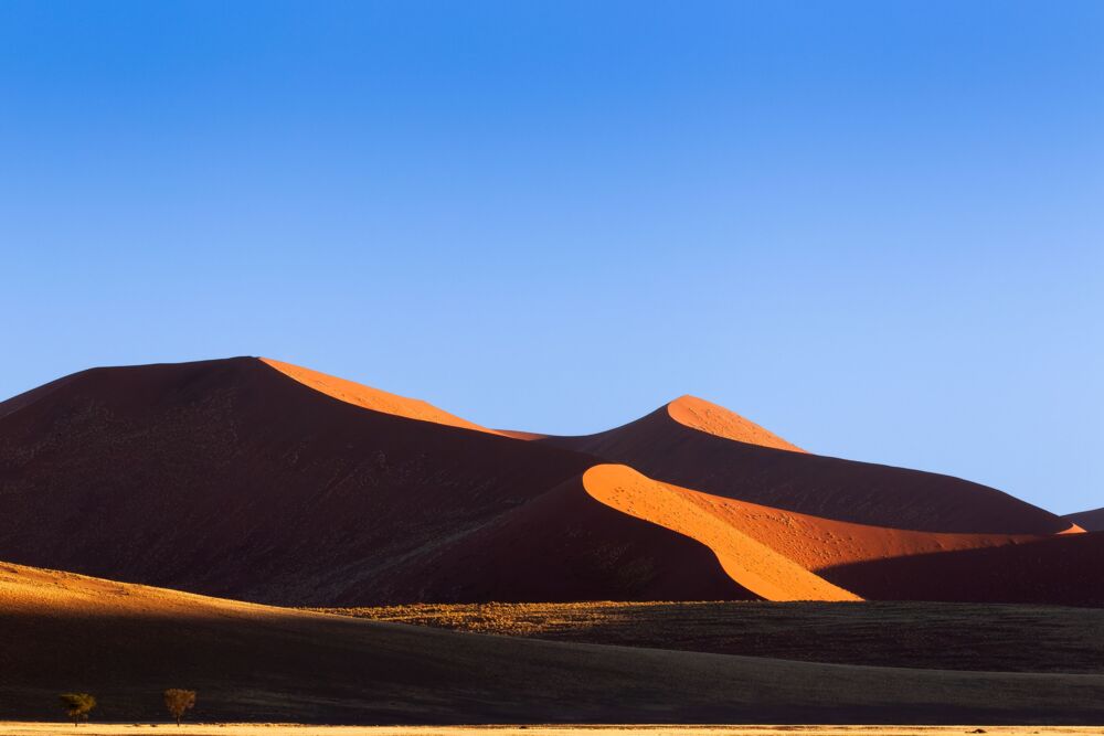 The golden curve