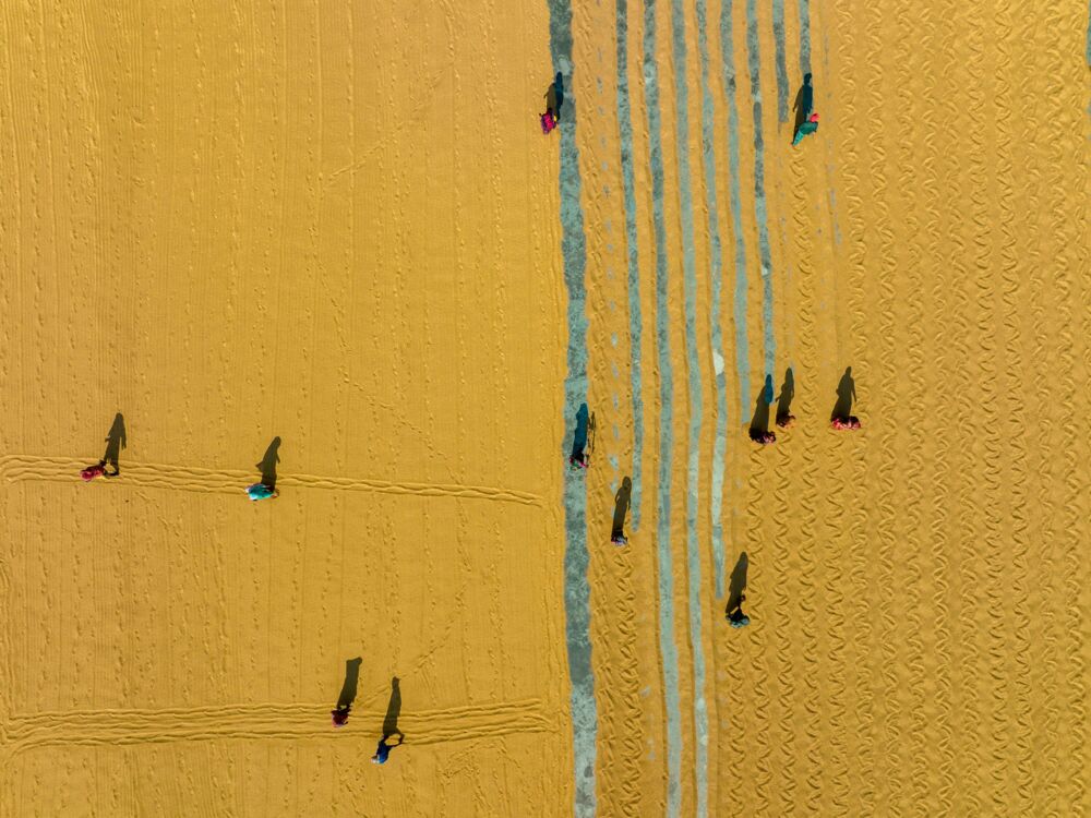 Colors of Bangladesh 2