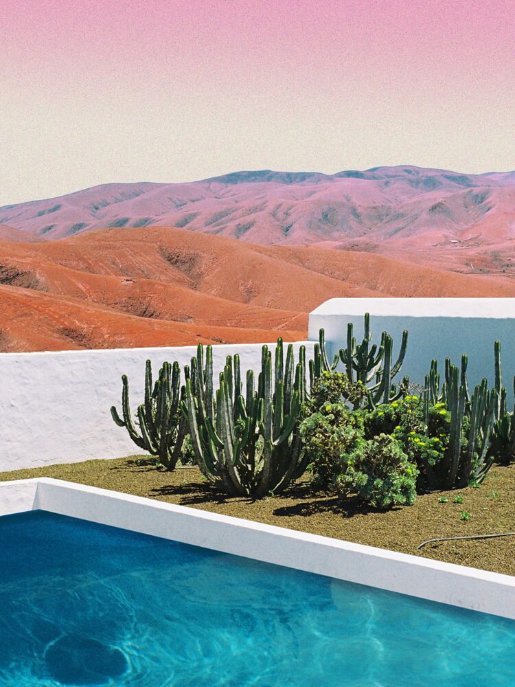 Oasis