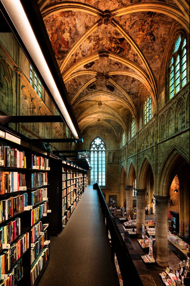 Dome of literature III