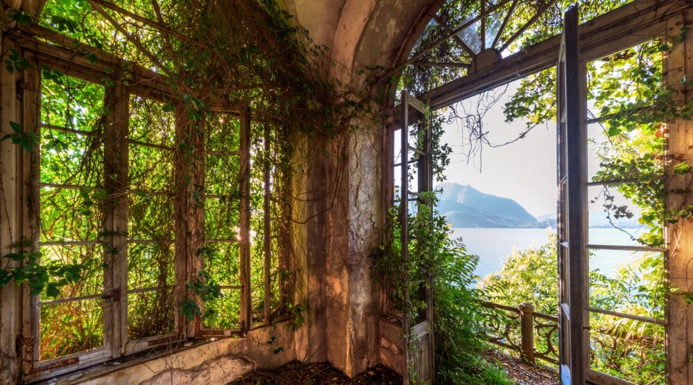 PARADIS PERDU II