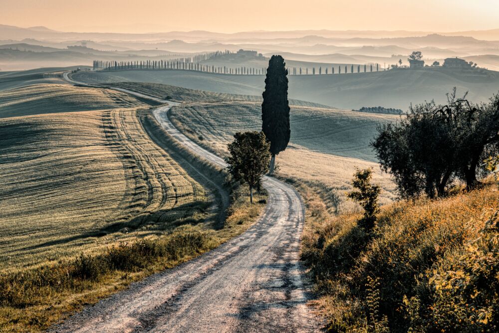 The winding Cypress Road