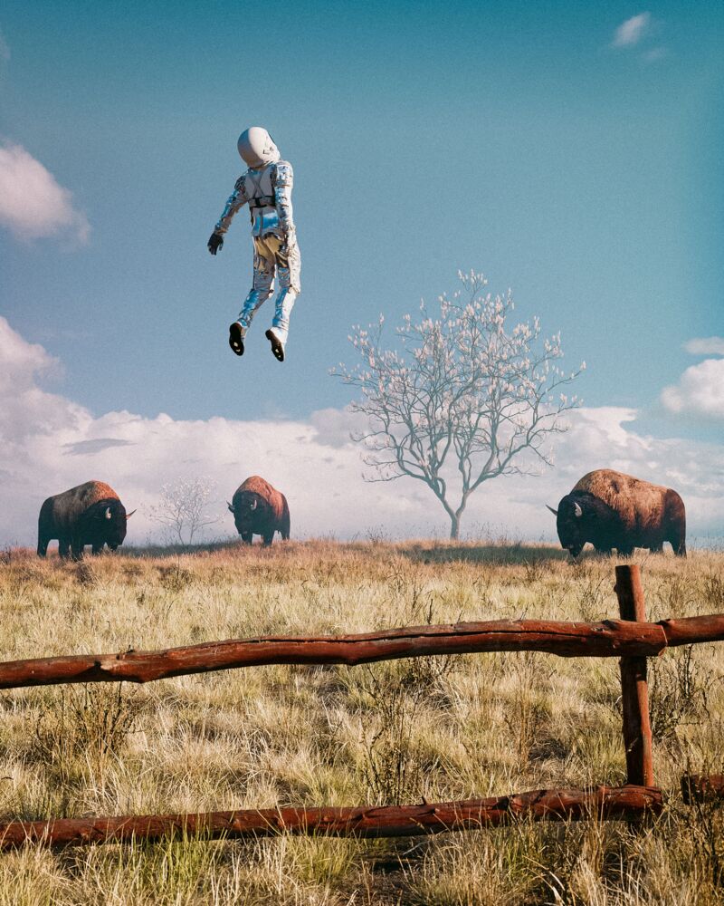 Astro buffalo field