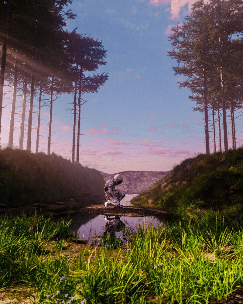 The river bed