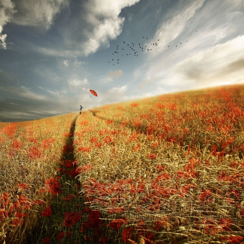 POPPY RED
