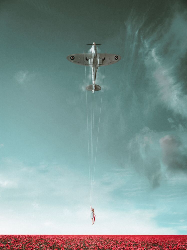Fly high