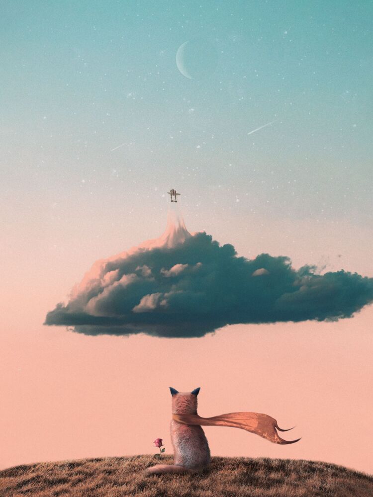 Little prince