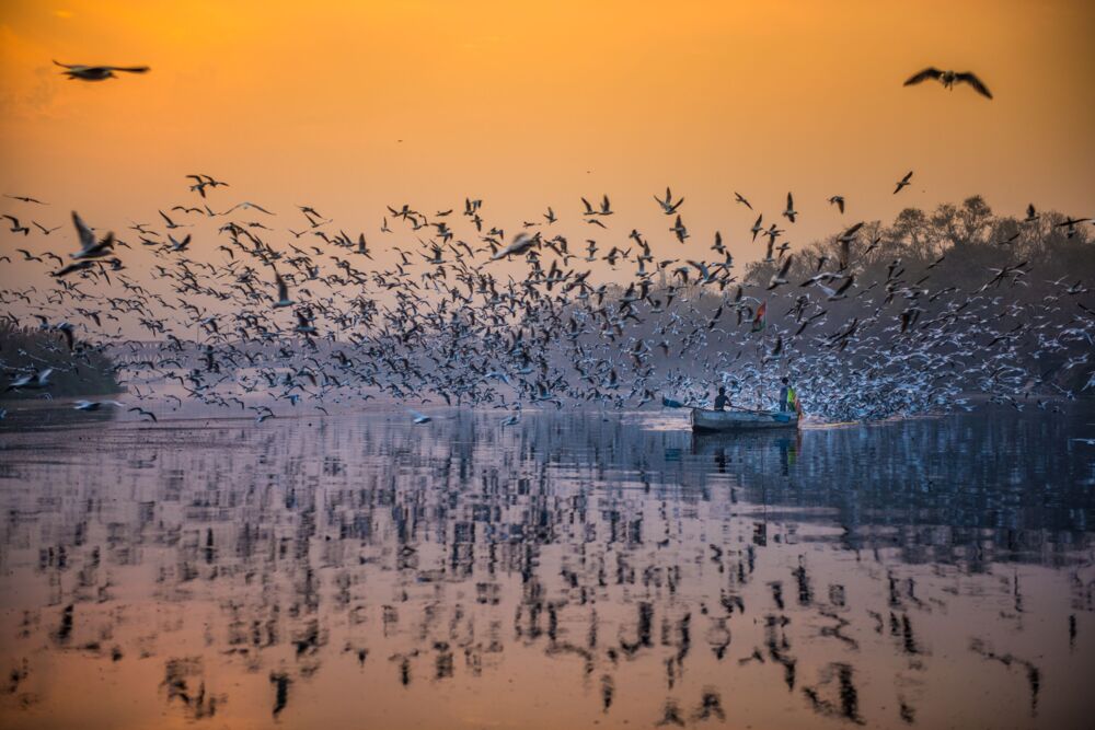 A MOMENT OF CALMNESS